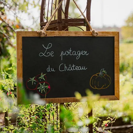 Chateau Pape Clement 3* Pessac