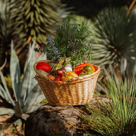 Chateau Pape Clement