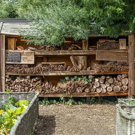 Hotell Chateau Pape Clement