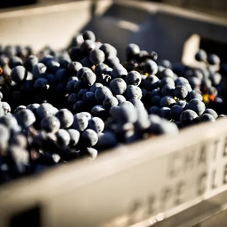 Hotel Chateau Pape Clement 3*