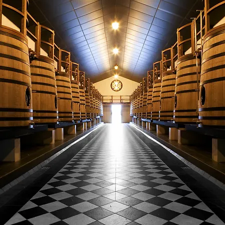 Hotel Chateau Pape Clement 3*