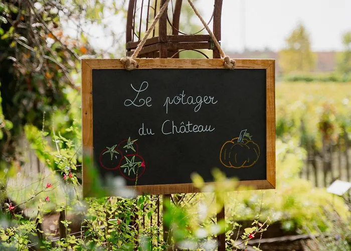 Chateau Pape Clement 3* Pessac