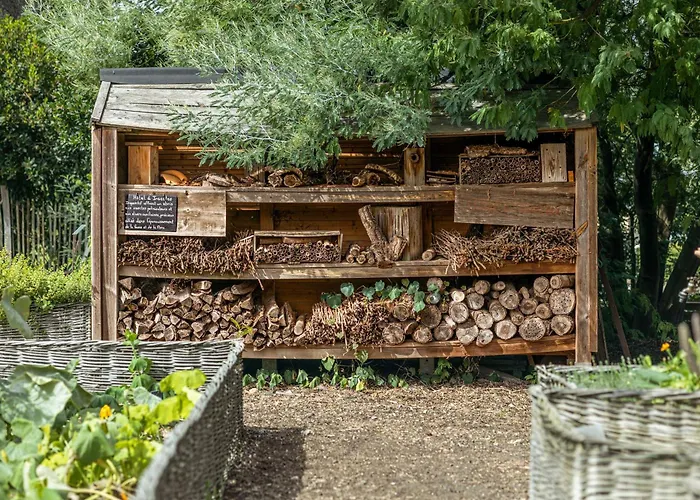 Hotell Chateau Pape Clement