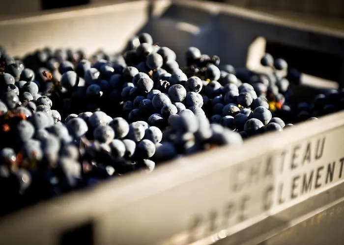 酒店 克莱门特法式城堡佩普酒店 3*