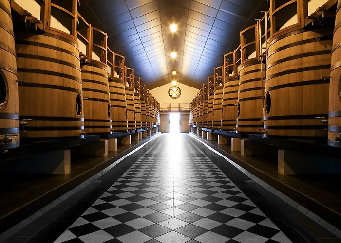 Hotell Chateau Pape Clement 3*